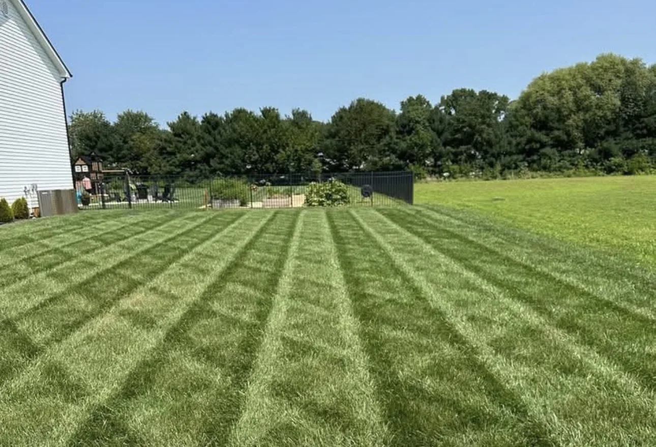 Thick green fertilized lawn with clean mowing stripes behind a Delaware home